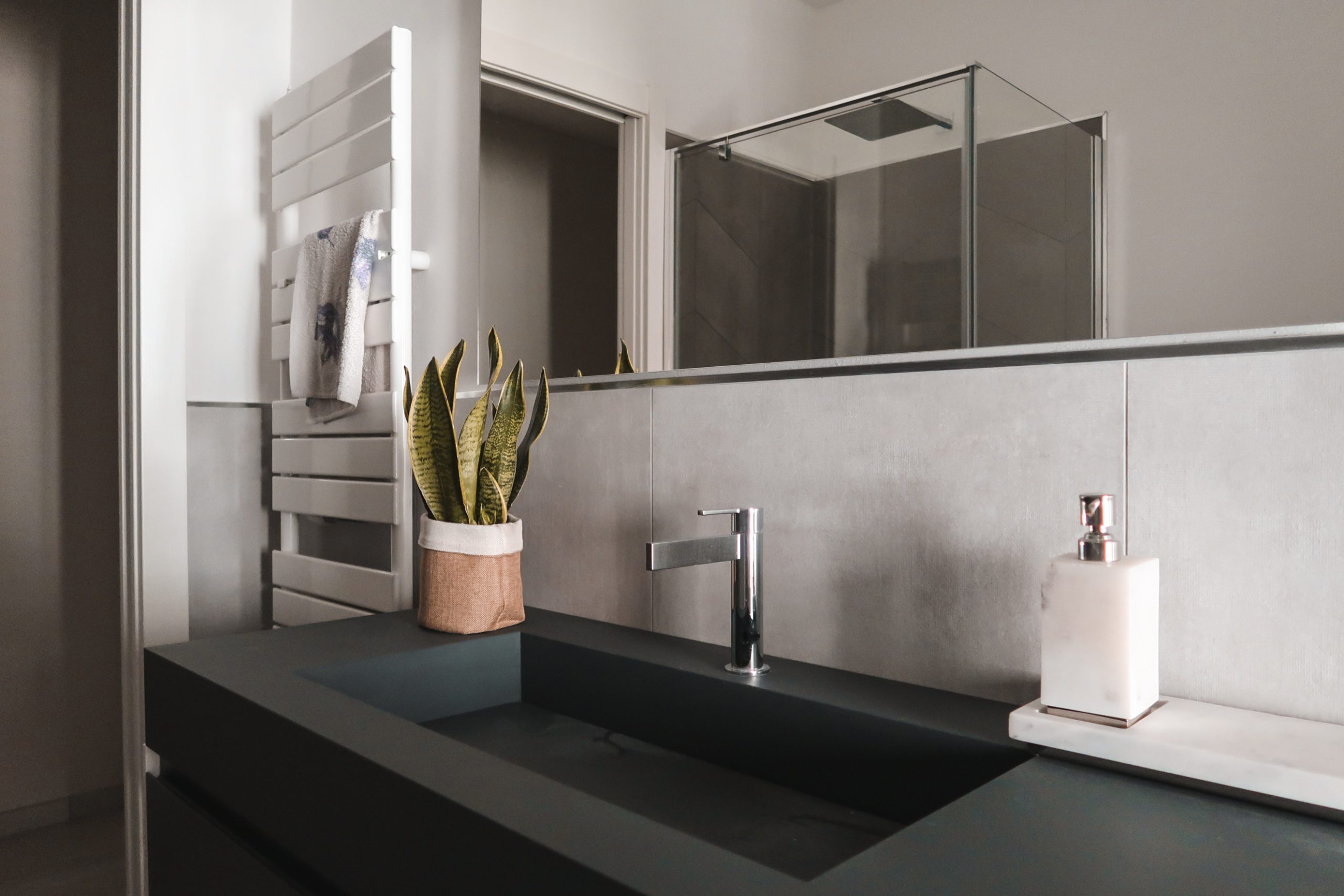 Scopri di più sull'articolo Sansevieria: come curarla e coltivarla
