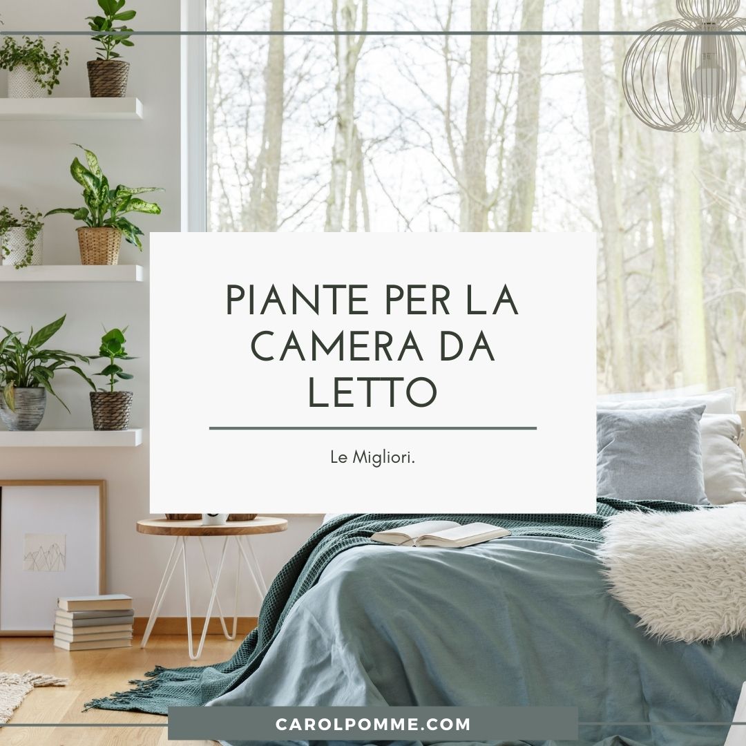 Scopri di più sull'articolo Piante Da Camera Da Letto: Quali Purificano L’Aria