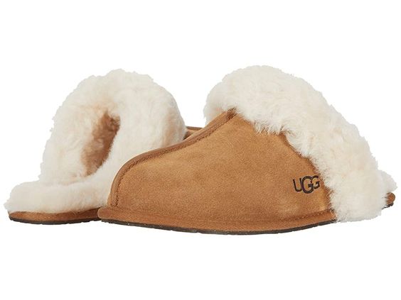 slippers scuffette II ugg
